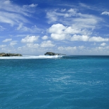 IMG_1444.jpg
