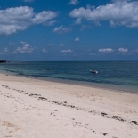 L1030394.jpg