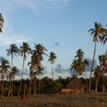 _D4T1547.jpg