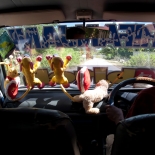 L1030408.jpg