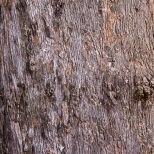 L1030657