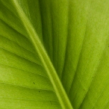 L1030660