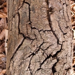 L1030661