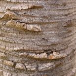 L1030663