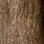 L1030669