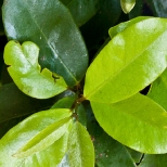 L1030670