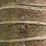 L1030672