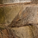 L1030678