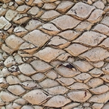 L1030680