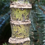 L1030682