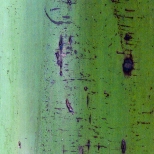 L1030685