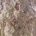 L1030690