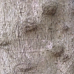 L1030691