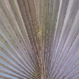 L1030693