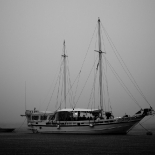 _D4T0973.jpg