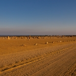 _D4T1286.jpg
